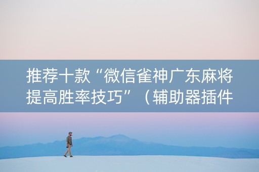 推荐十款“微信雀神广东麻将提高胜率技巧”（辅助器插件)