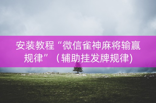 安装教程“微信雀神麻将输赢规律”（辅助挂发牌规律)