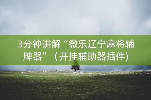 3分钟讲解“微乐辽宁麻将辅牌器”（开挂辅助器插件)