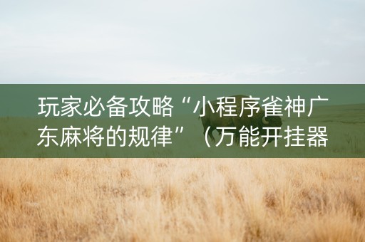 玩家必备攻略“小程序雀神广东麻将的规律”（万能开挂器)