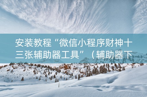 安装教程“微信小程序财神十三张辅助器工具”（辅助器下载)