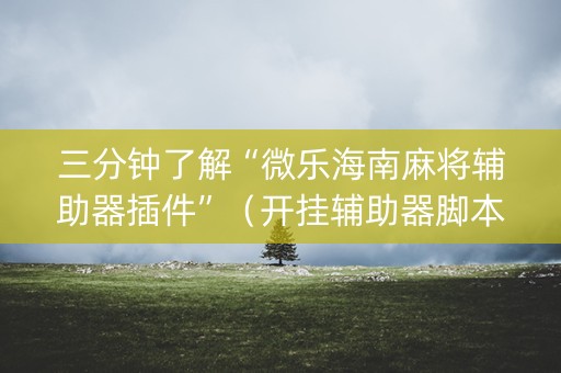 三分钟了解“微乐海南麻将辅助器插件”（开挂辅助器脚本)