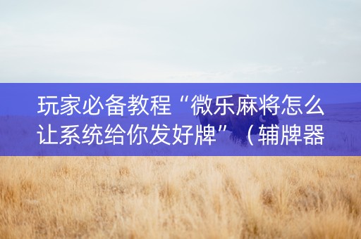 玩家必备教程“微乐麻将怎么让系统给你发好牌”（辅牌器插件购买)