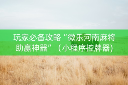 玩家必备攻略“微乐河南麻将助赢神器”（小程序控牌器)