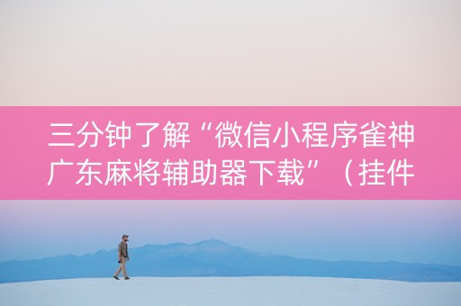 三分钟了解“微信小程序雀神广东麻将辅助器下载”（挂件神器)