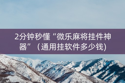 2分钟秒懂“微乐麻将挂件神器”（通用挂软件多少钱)