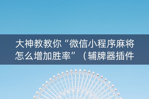 大神教教你“微信小程序麻将怎么增加胜率”（辅牌器插件购买)