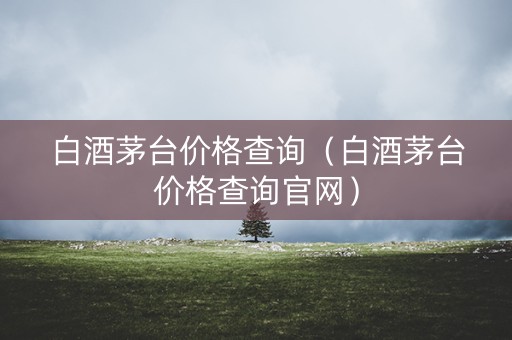 白酒茅台价格查询（白酒茅台价格查询官网）
