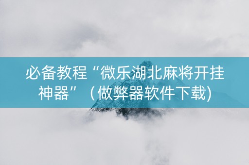 必备教程“微乐湖北麻将开挂神器”（做弊器软件下载)