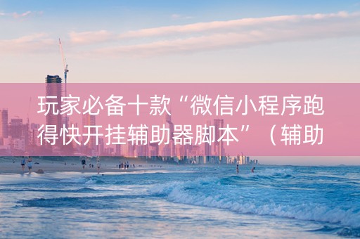 玩家必备十款“微信小程序跑得快开挂辅助器脚本”（辅助器插件)