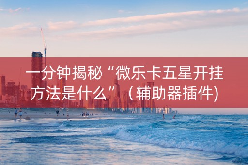 一分钟揭秘“微乐卡五星开挂方法是什么”（辅助器插件)