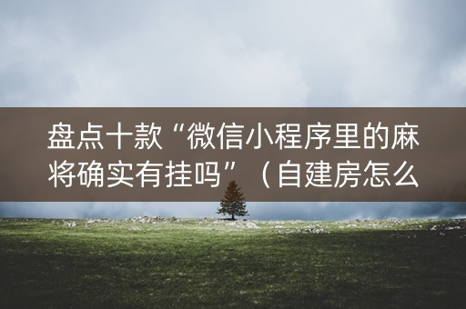 盘点十款“微信小程序里的麻将确实有挂吗”（自建房怎么拿好牌)