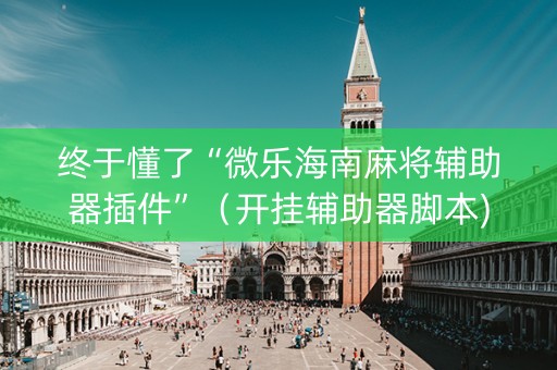 终于懂了“微乐海南麻将辅助器插件”（开挂辅助器脚本)
