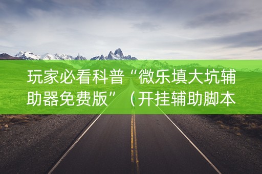 玩家必看科普“微乐填大坑辅助器免费版”（开挂辅助脚本)