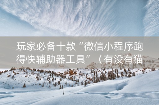 玩家必备十款“微信小程序跑得快辅助器工具”（有没有猫腻)