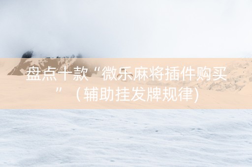盘点十款“微乐麻将插件购买”（辅助挂发牌规律)