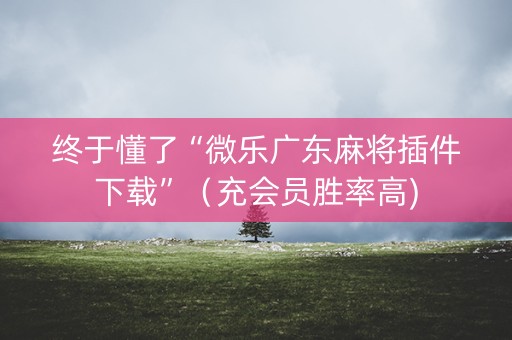 终于懂了“微乐广东麻将插件下载”（充会员胜率高)