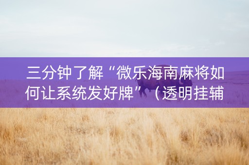 三分钟了解“微乐海南麻将如何让系统发好牌”（透明挂辅助器)