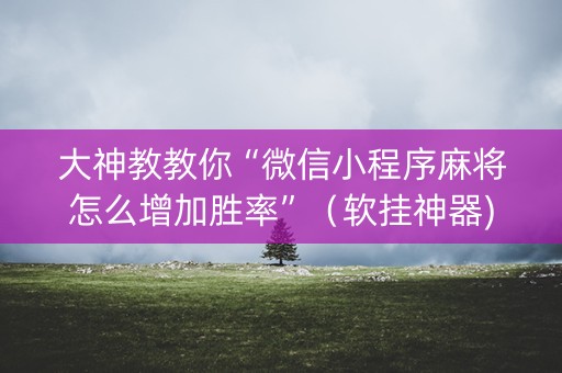 大神教教你“微信小程序麻将怎么增加胜率”（软挂神器)