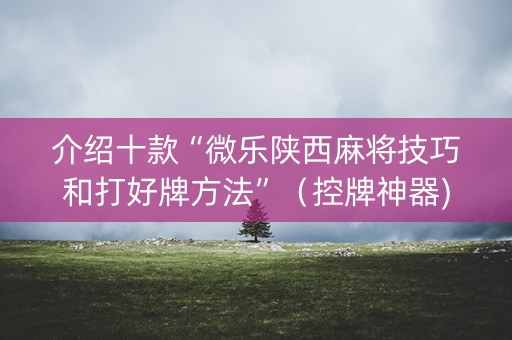 介绍十款“微乐陕西麻将技巧和打好牌方法”（控牌神器)
