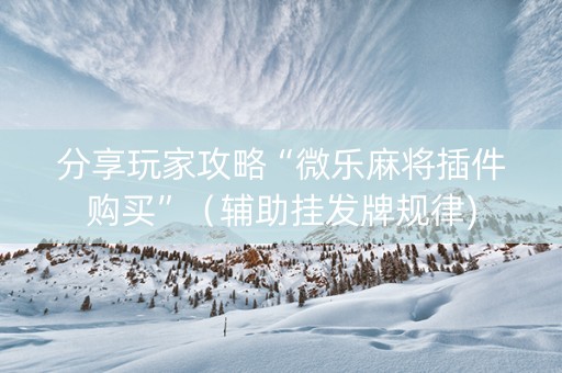 分享玩家攻略“微乐麻将插件购买”（辅助挂发牌规律)