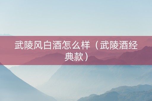 武陵风白酒怎么样（武陵酒经典款）