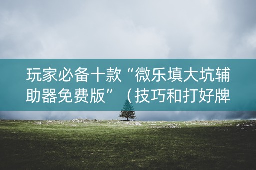 玩家必备十款“微乐填大坑辅助器免费版”（技巧和打好牌方法)
