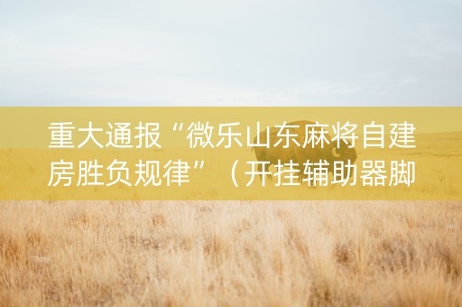 重大通报“微乐山东麻将自建房胜负规律”（开挂辅助器脚本)