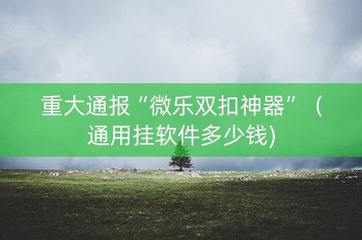 重大通报“微乐双扣神器”（通用挂软件多少钱)