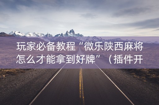玩家必备教程“微乐陕西麻将怎么才能拿到好牌”（插件开挂免费AI)