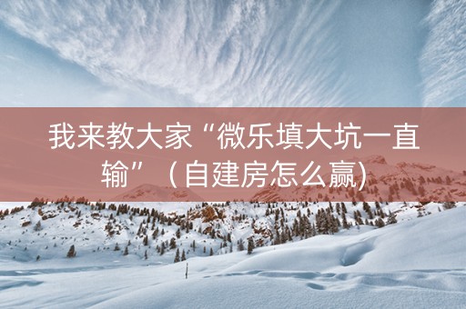 我来教大家“微乐填大坑一直输”（自建房怎么赢)
