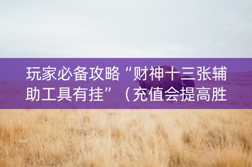 玩家必备攻略“财神十三张辅助工具有挂”（充值会提高胜率么)