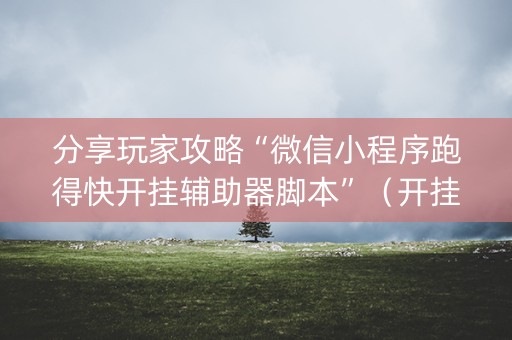 分享玩家攻略“微信小程序跑得快开挂辅助器脚本”（开挂辅助插件)