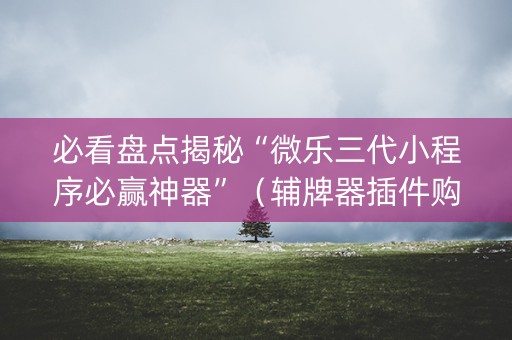 必看盘点揭秘“微乐三代小程序必赢神器”（辅牌器插件购买)