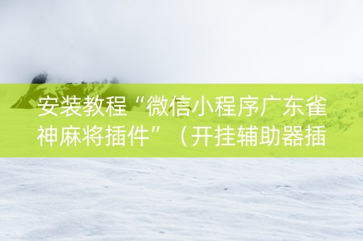 安装教程“微信小程序广东雀神麻将插件”（开挂辅助器插件)