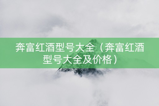 奔富红酒型号大全（奔富红酒型号大全及价格）