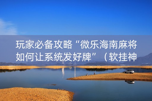 玩家必备攻略“微乐海南麻将如何让系统发好牌”（软挂神器)