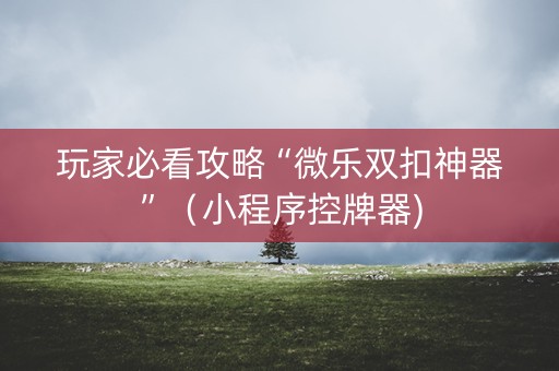 玩家必看攻略“微乐双扣神器”（小程序控牌器)