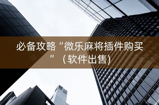 必备攻略“微乐麻将插件购买”（软件出售)
