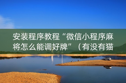 安装程序教程“微信小程序麻将怎么能调好牌”（有没有猫腻)