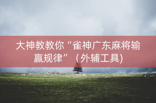大神教教你“雀神广东麻将输赢规律”（外辅工具)