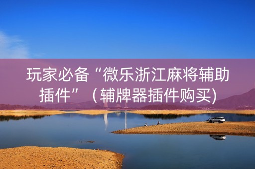 玩家必备“微乐浙江麻将辅助插件”（辅牌器插件购买)