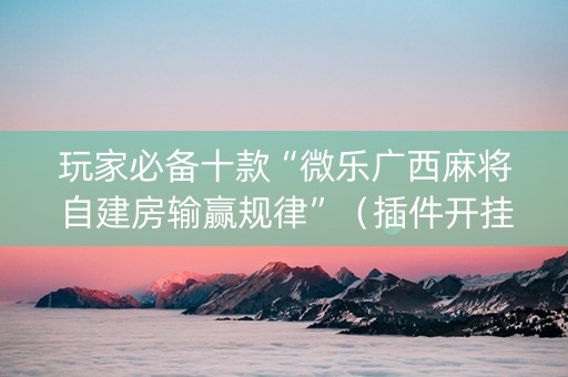 玩家必备十款“微乐广西麻将自建房输赢规律”（插件开挂免费AI)