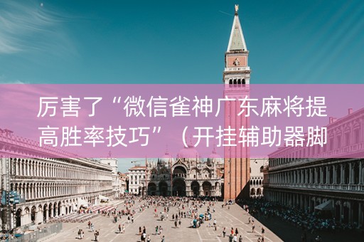 厉害了“微信雀神广东麻将提高胜率技巧”（开挂辅助器脚本)