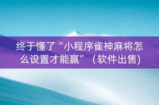 终于懂了“小程序雀神麻将怎么设置才能赢”（软件出售)
