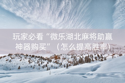 玩家必看“微乐湖北麻将助赢神器购买”（怎么提高胜率)