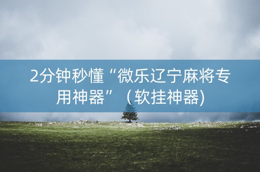 2分钟秒懂“微乐辽宁麻将专用神器”（软挂神器)