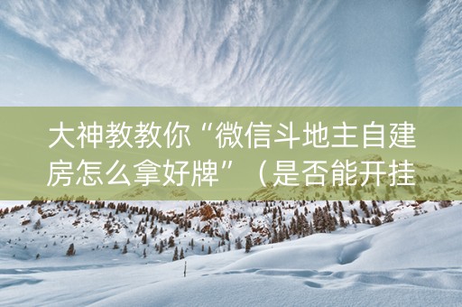 大神教教你“微信斗地主自建房怎么拿好牌”（是否能开挂)