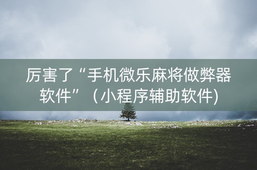 厉害了“手机微乐麻将做弊器软件”（小程序辅助软件)