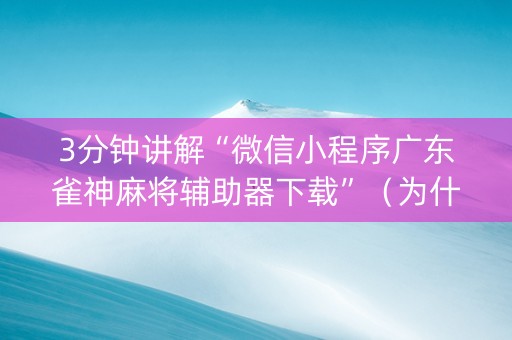 3分钟讲解“微信小程序广东雀神麻将辅助器下载”（为什么有人一直赢)